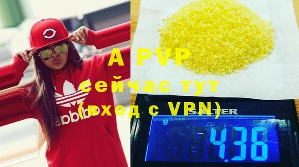 прущие грибы Болотное