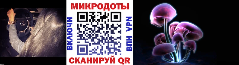 kraken tor  закладка  Ленск  Псилоцибиновые грибы Psilocybine cubensis 